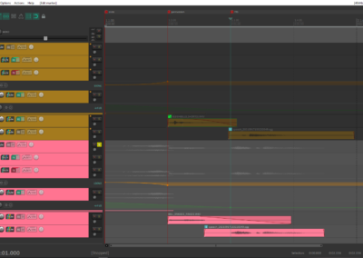 Screengrabs from my digital workstation where I created the sounds